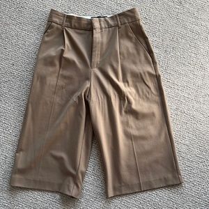 Zara wide leg shorts